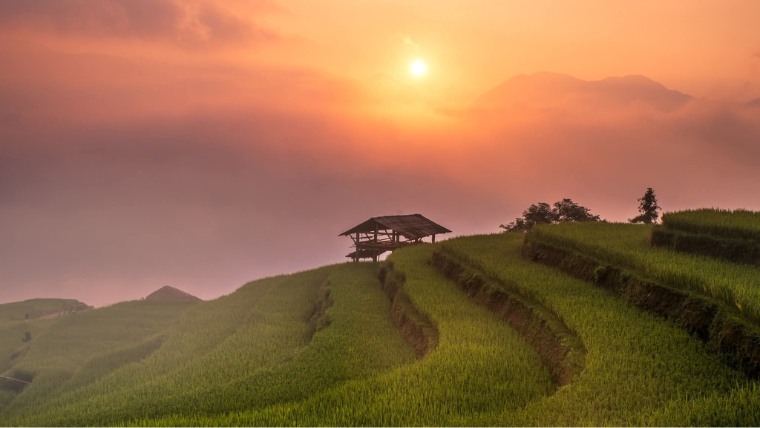 why-to-visit-hoang-su-phi